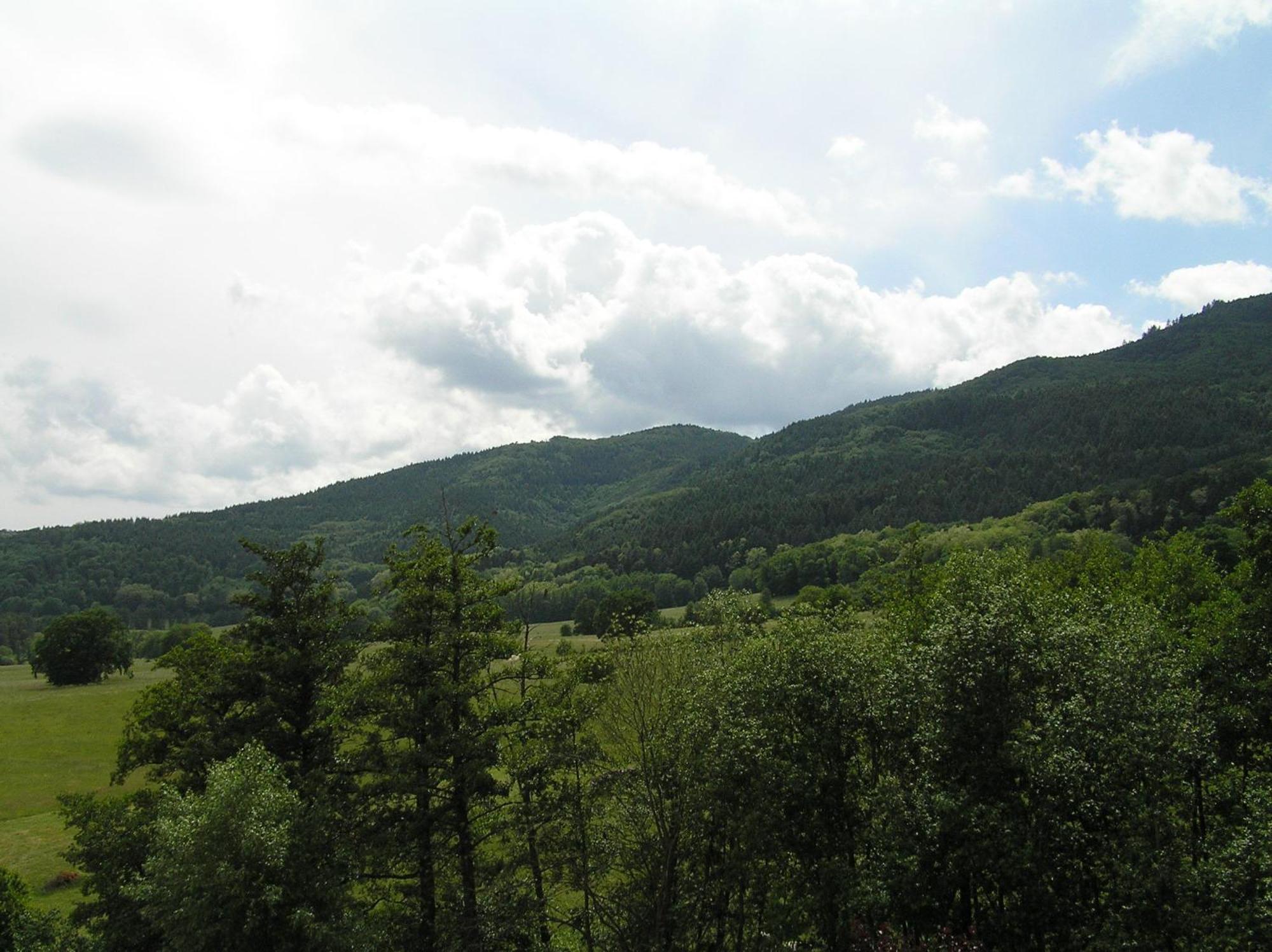 A L'Arbre Vert Wintzfelden Εξωτερικό φωτογραφία