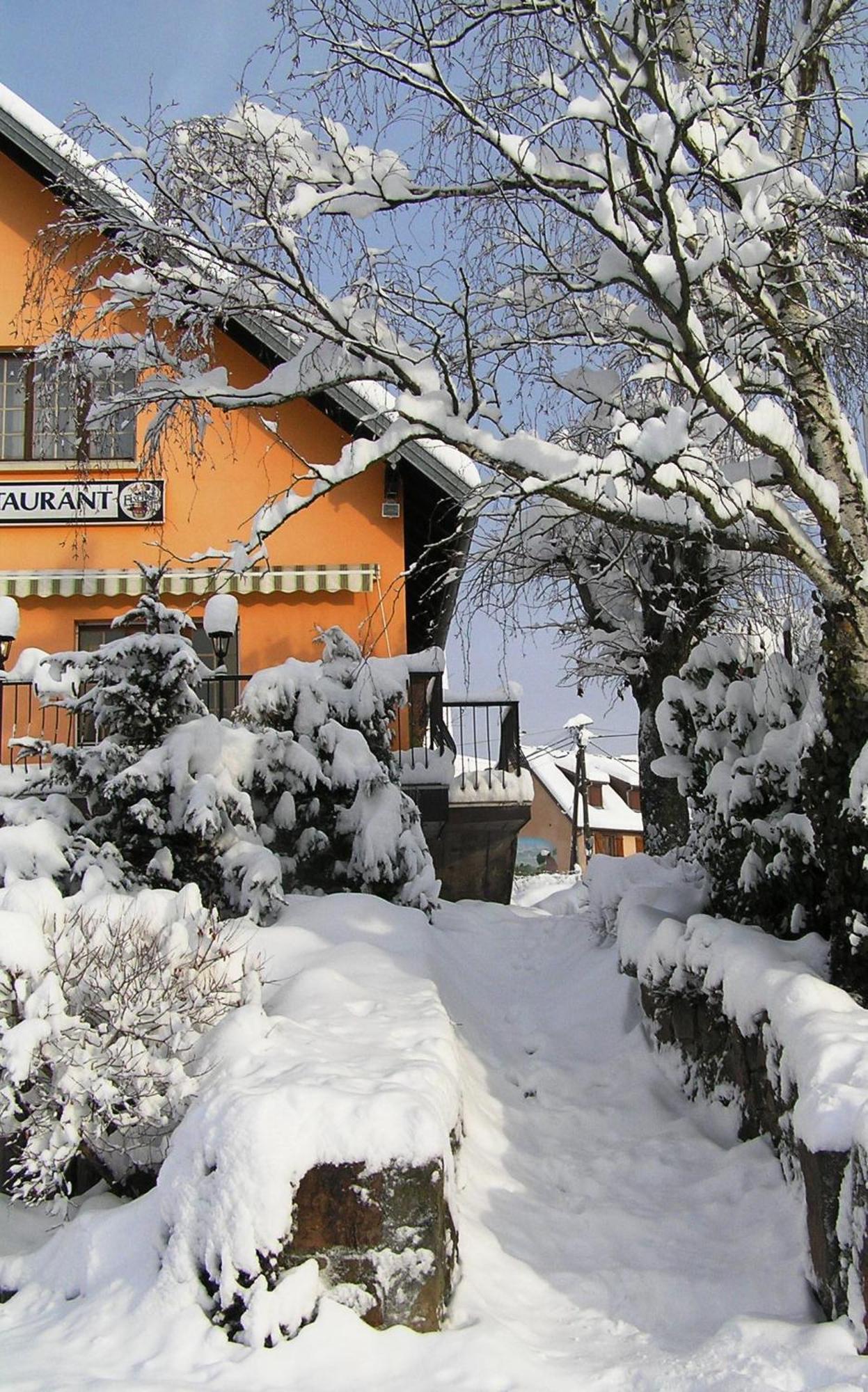 A L'Arbre Vert Wintzfelden Εξωτερικό φωτογραφία
